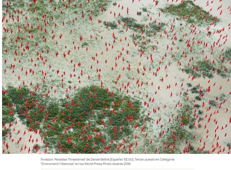  - El horror en Venezuela, la mejor foto del año