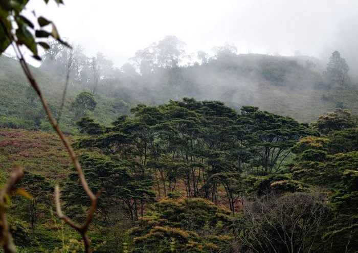 La mina que amenaza el nombre de Agua Bonita