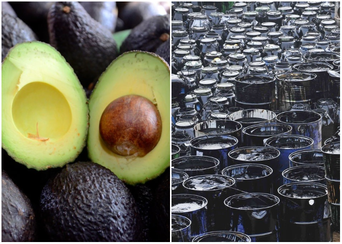 Petróleo versus aguacate: la guerra por las exportaciones