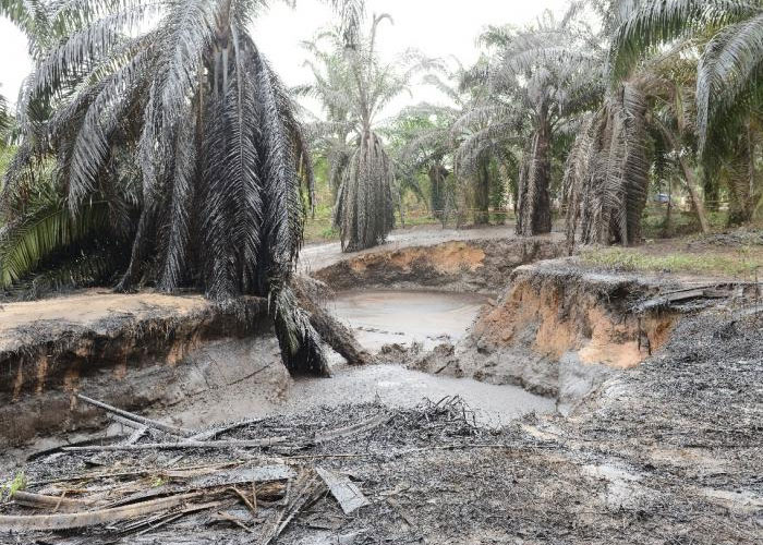 Lisama-158 y el camino de la transición energética