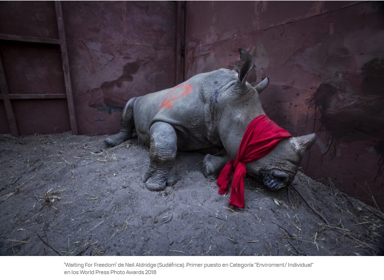  - El horror en Venezuela, la mejor foto del año