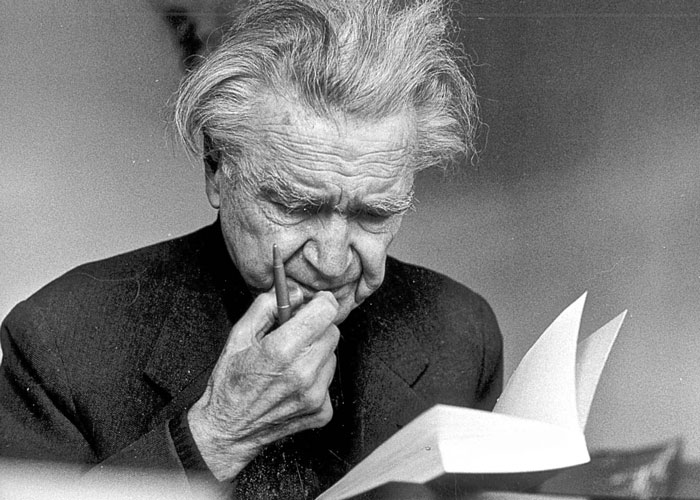 La noche que Cioran me dijo que votara por Fajardo