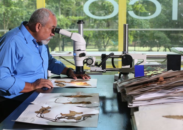 Álvaro Cogollo Pacheco, entre la ciencia, la botánica y el vallenato