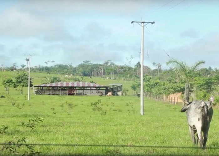De ser azotados por el conflicto a apostarle al ecoturismo