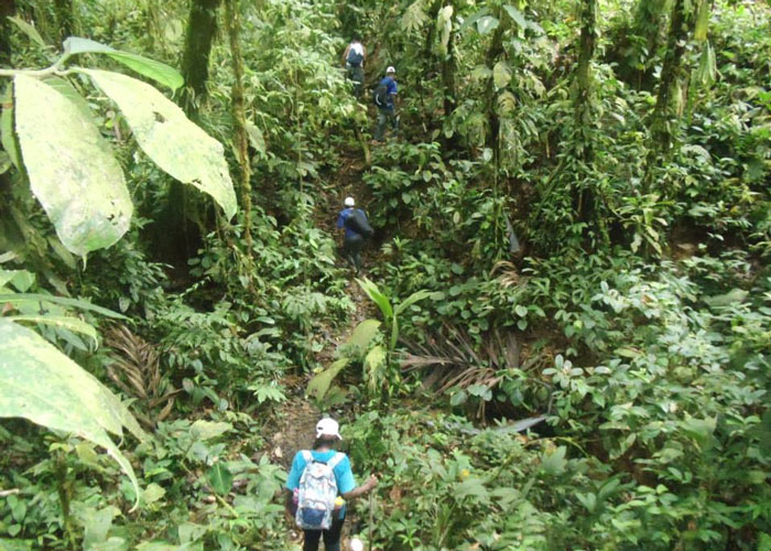 Recuerdos del terreno y de cómo murió el pequeño Joselo