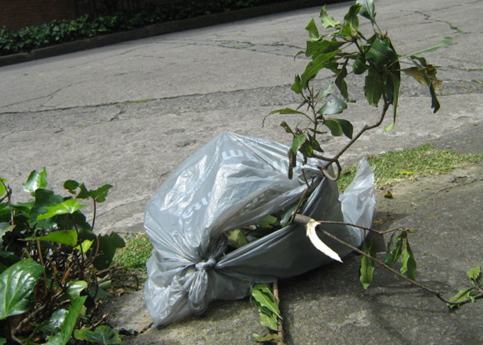 El desperdicio de bolsas de Promoambiental