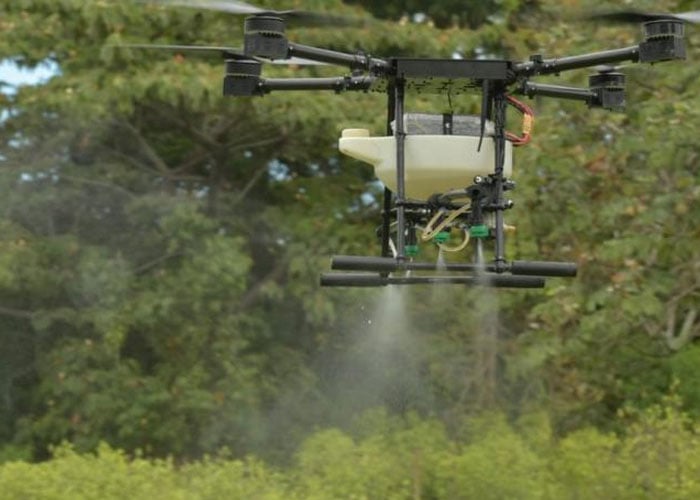 ¿Qué se creen los gringos?