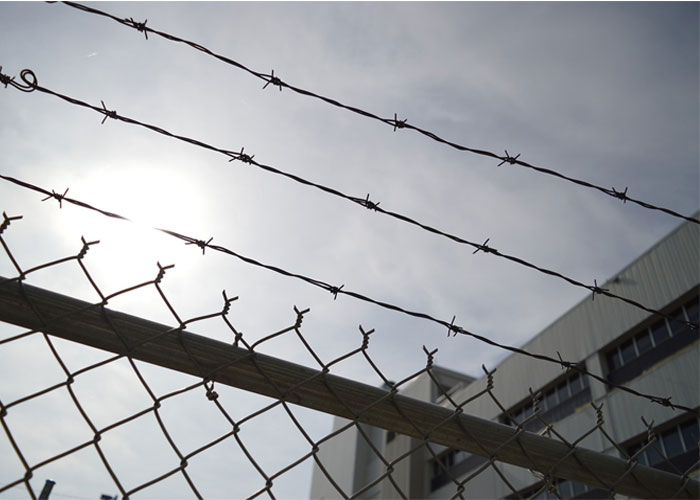 Prisioneros de la autonomía universitaria y la democracia representativa