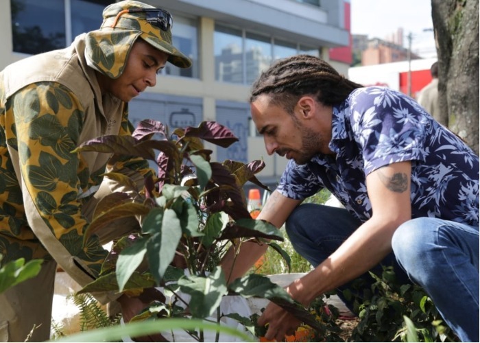 Árboles vs. cemento: los paisas quieren convertir su ciudad en una de las más verdes del mundo