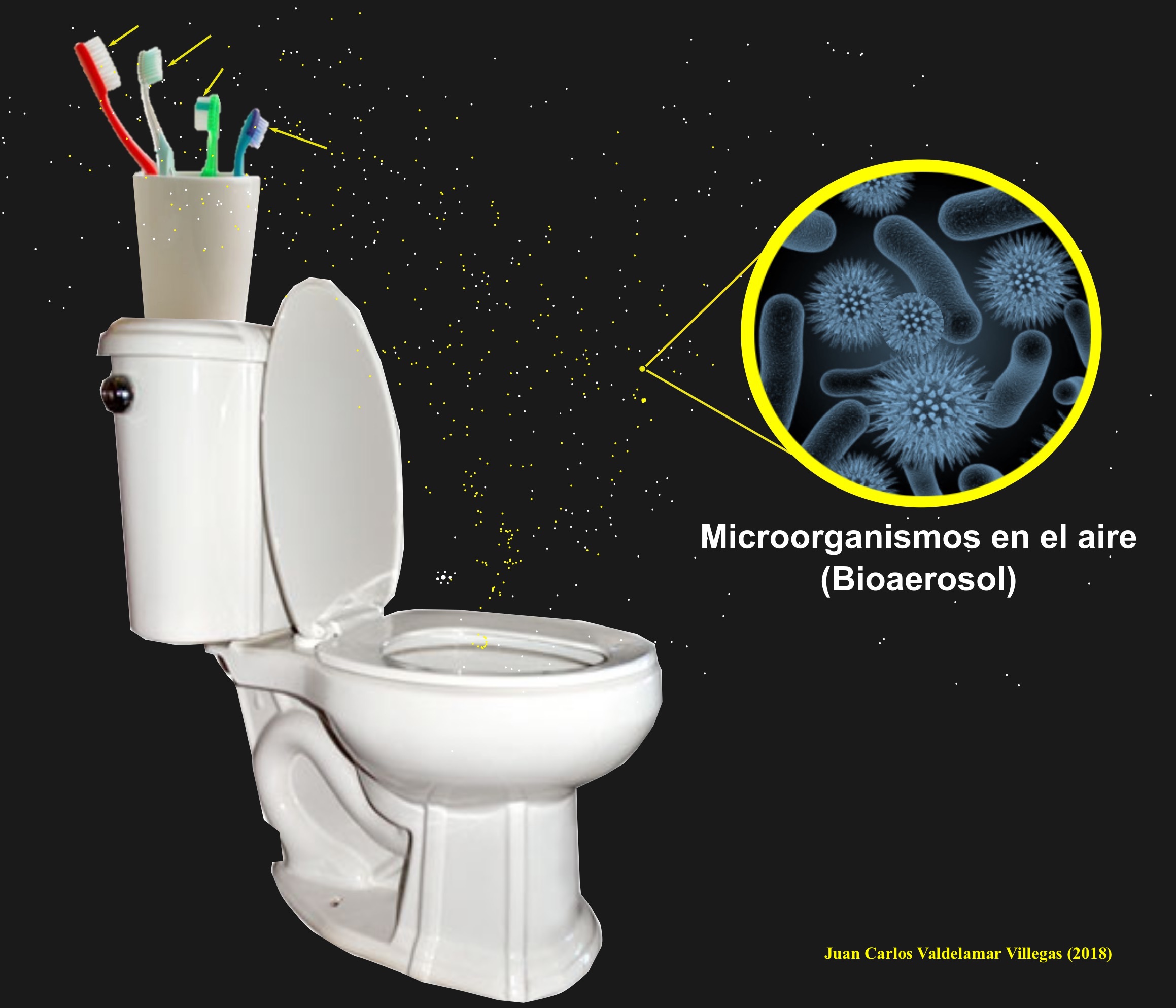  - Si el cepillo dental dejas en el baño, a tu salud le puedes hacer daño