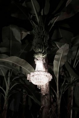  - La vida múltiple de lo-foto-gráfico