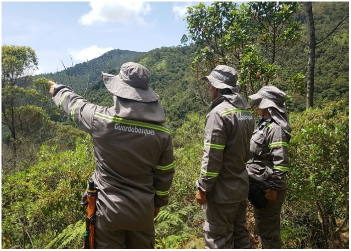 Los guardianes que cuidan el agua y los bosques de Medellín