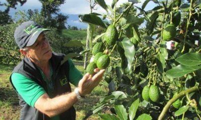  - Las tres del tintero