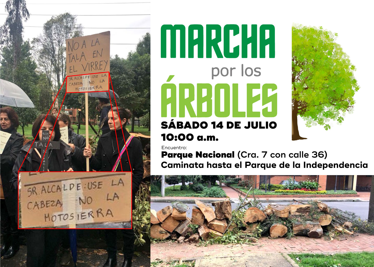  - Una marcha por los árboles