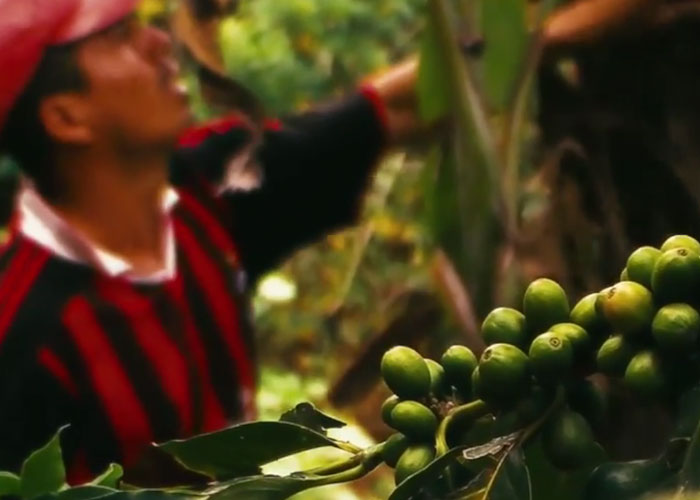 Campesinos de Cundinamarca beneficiados con la evaluación de tierras