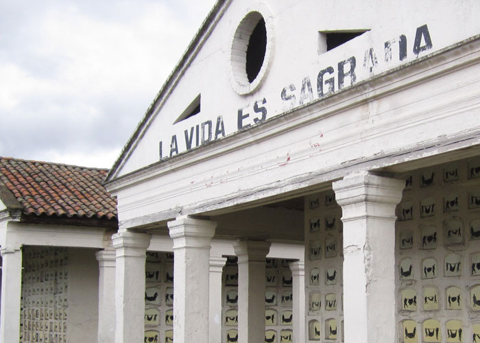 Fútbol en el Cementerio Central