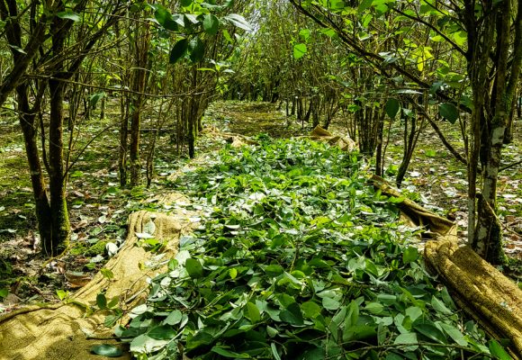  - La Colombia que ocultó la guerra