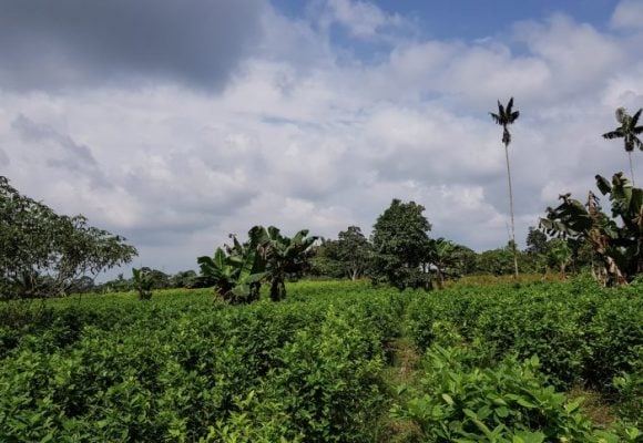  - La Colombia que ocultó la guerra