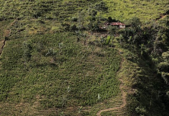  - La Colombia que ocultó la guerra