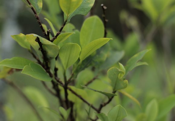  - La Colombia que ocultó la guerra