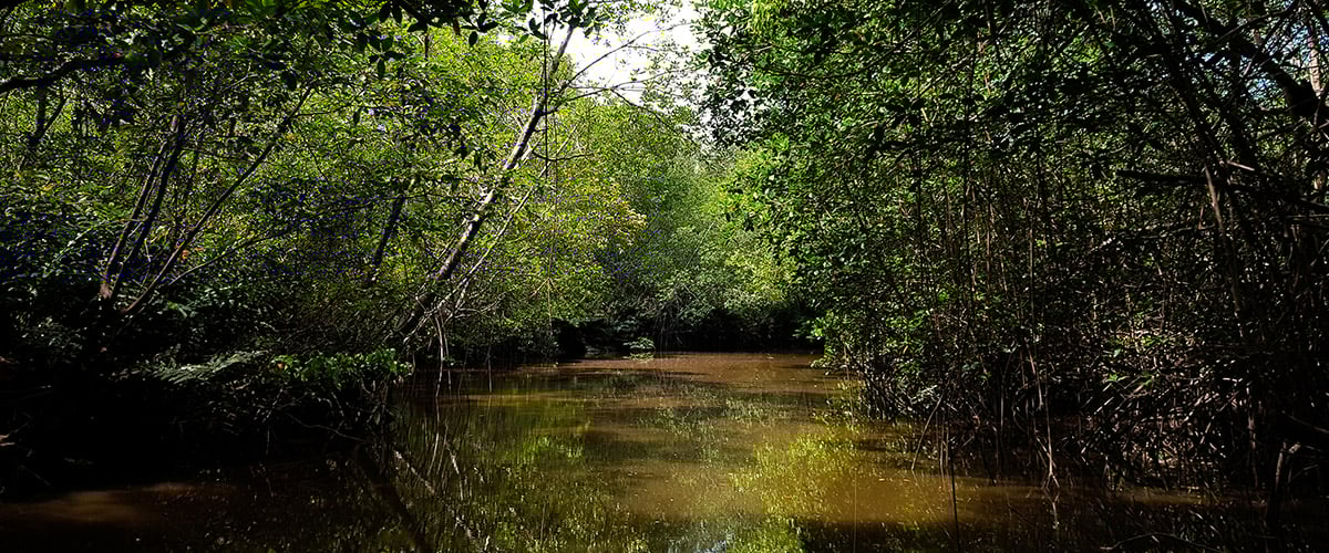 - La Colombia que ocultó la guerra