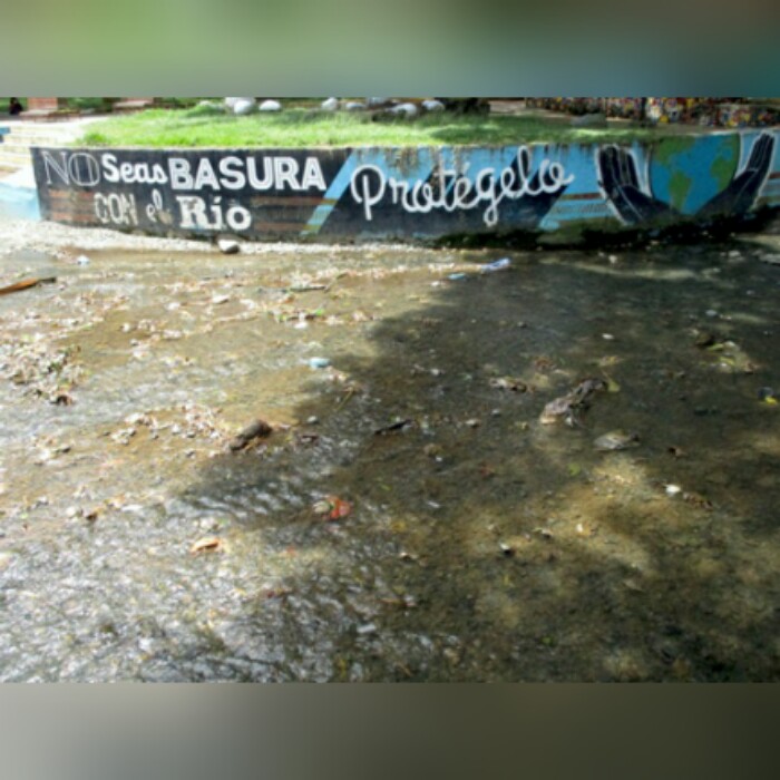 Marraneras ponen en peligro habitantes de Santander de Quilichao.