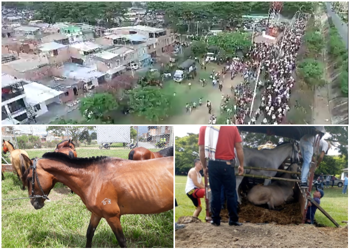 Cabalgata de Buga, ¡vergüenza nacional!