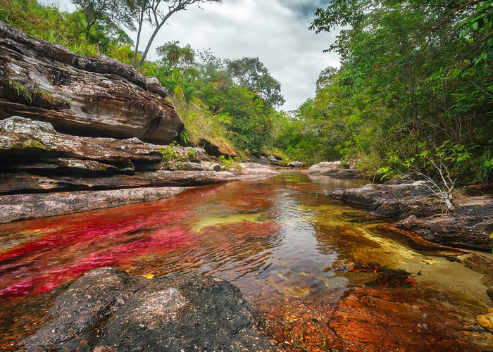¿Caño Cristales, en riesgo?