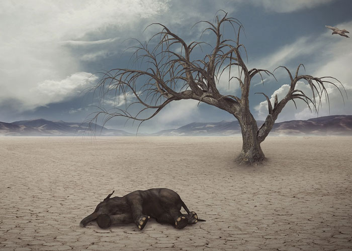 ¿Quien habló primero del calentamiento global?