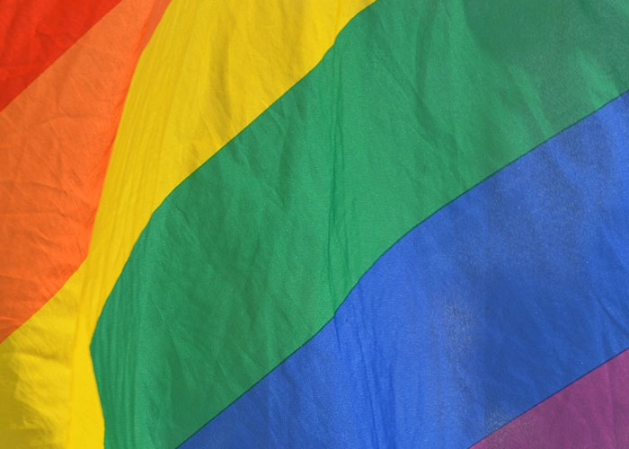 ¿Torsión homosexual del lenguaje?