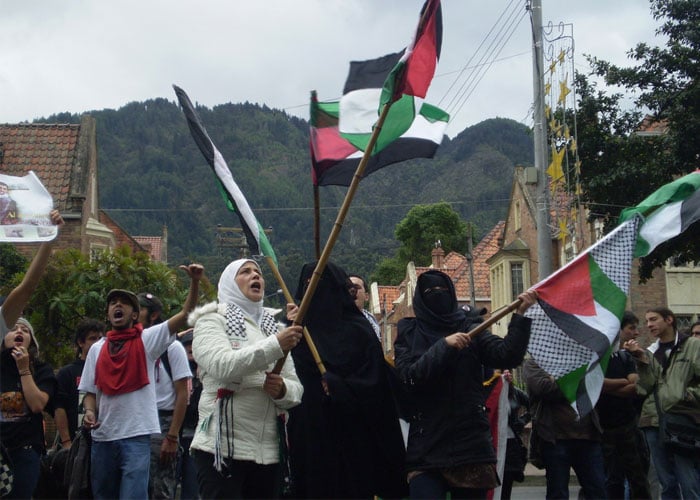 Para hablar con fundamentos: política exterior colombiana hacia Palestina