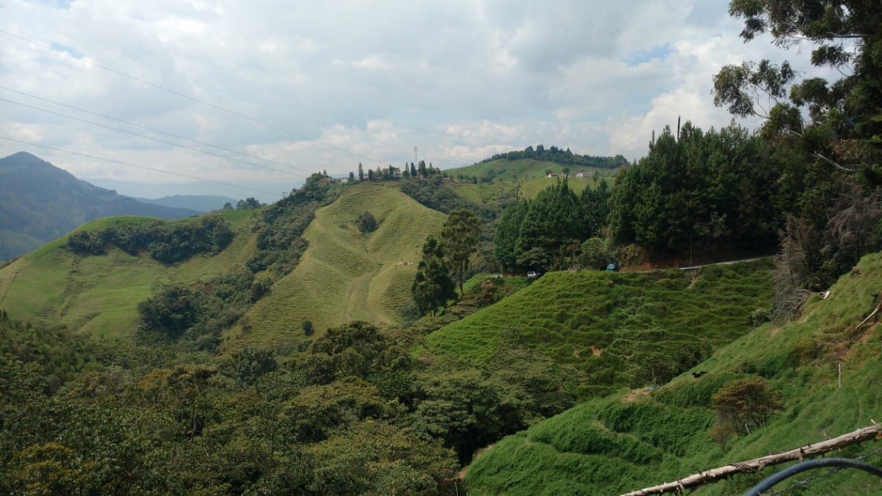  - Los campesinos de San Antonio de Prado ya tienen festival propio