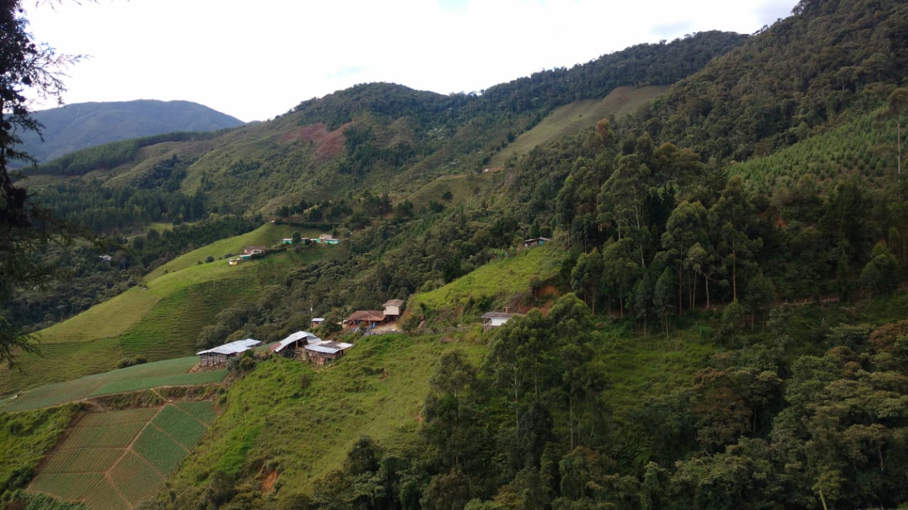  - Los campesinos de San Antonio de Prado ya tienen festival propio