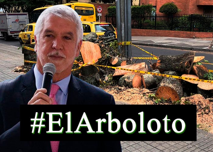 A punta de trinos los bogotanos intentan frenar la tala de árboles de Peñalosa