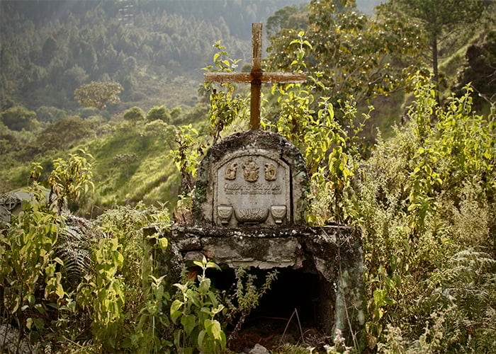 Entre la maleza desaparecen las tumbas en el Cauca. FOTOS