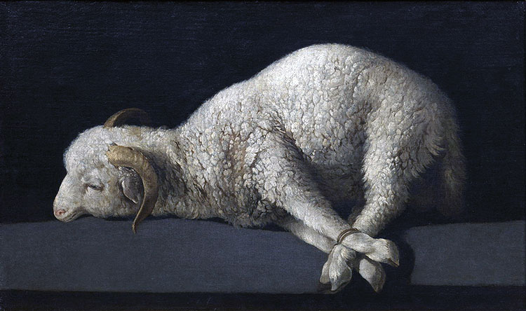 El 'Agnus Dei' de Zurbarán en el Mamu