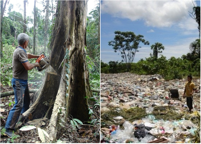 ¿Pueden ser los pobres ecologistas?
