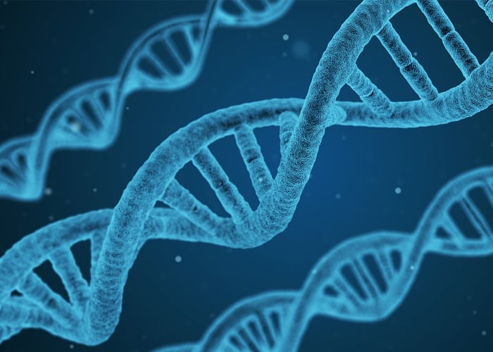 Si usted quisiera disfrutar de su genoma conscientemente