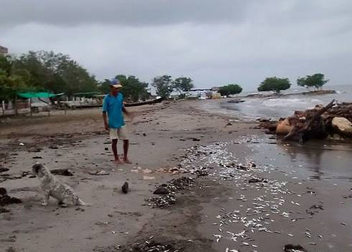 SOS por el Golfo de Morrosquillo