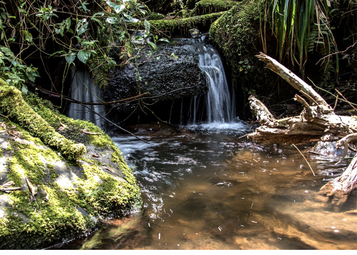 Vuelve La Vieja, pero en período de prueba