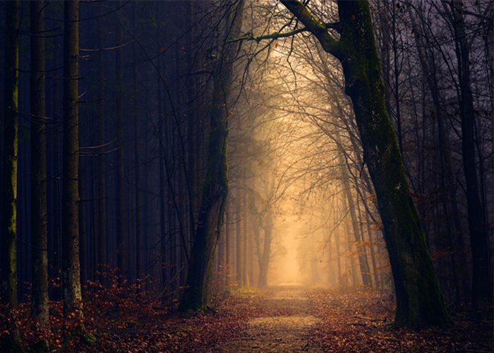 Un Dios que se percata de la obscuridad