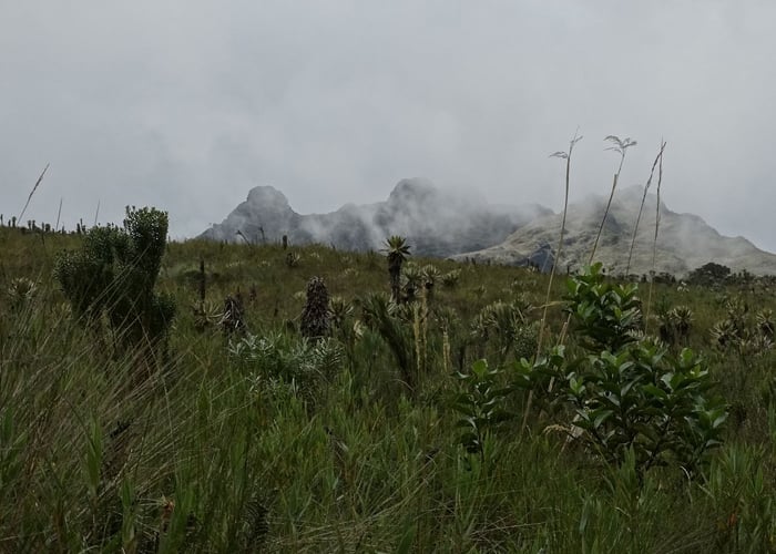 Sobre la concertación con comunidades en la delimitación de áreas protegidas