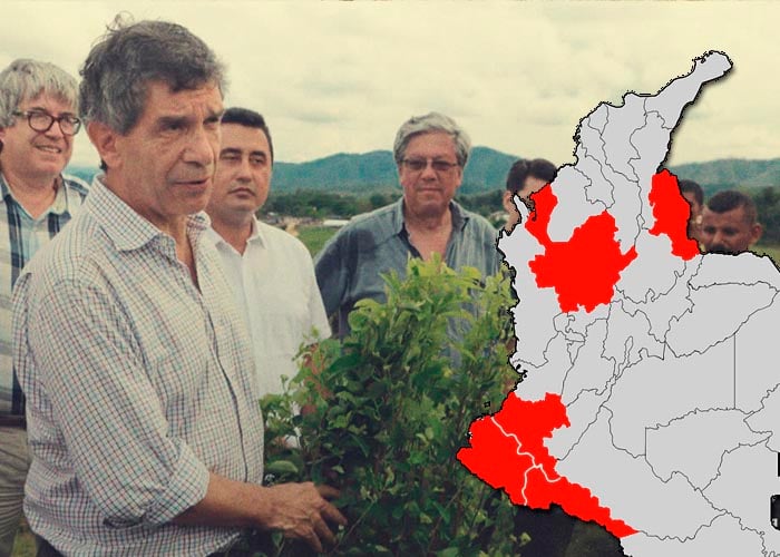 El mapa de la coca en Colombia: ONU con alarmas prendidas