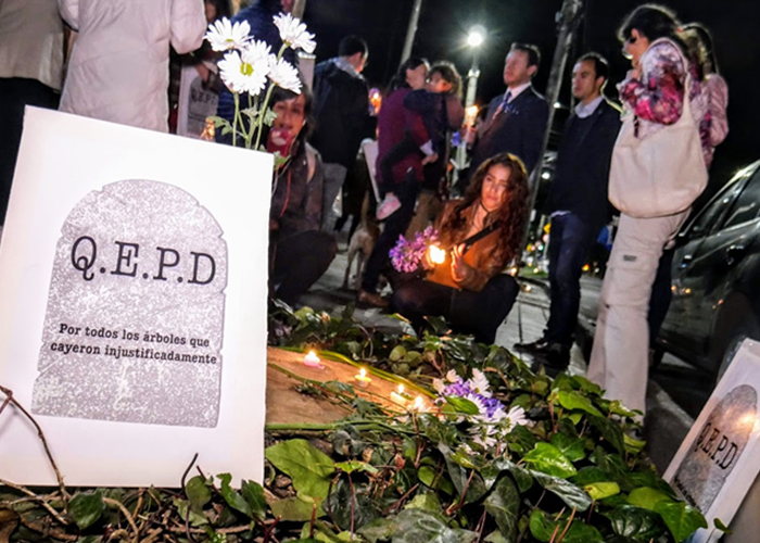 Que en paz descansen los árboles de la Novena