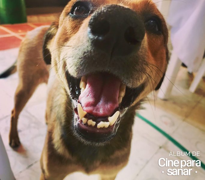  - Fotogalería: Momentos de risa