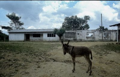  - Jaime Meriño y la jugada del Gobierno