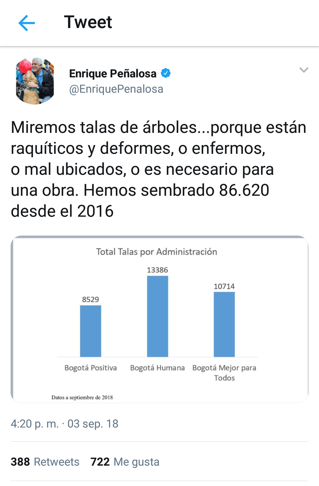  - ¿No más árboles en Bogotá?