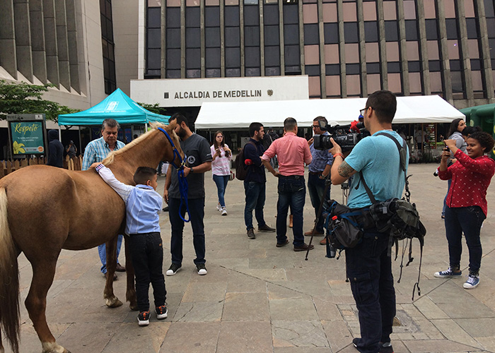 Los animales se toman la capital paisa por un día