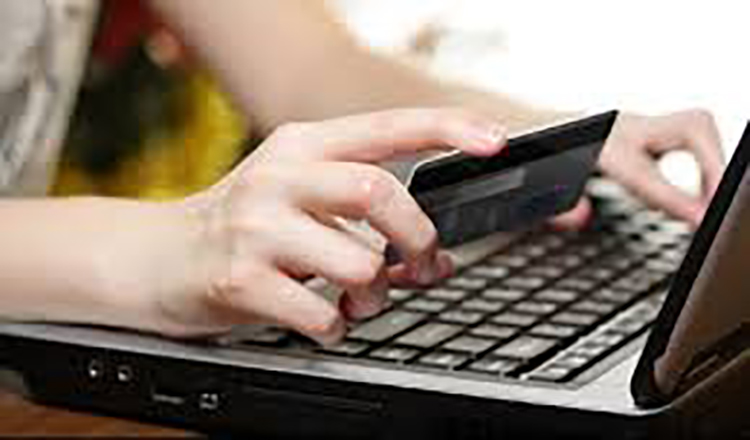 Que no lo roben en Internet