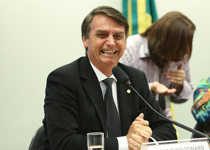 Ni aves de rapiña, ni avestruces